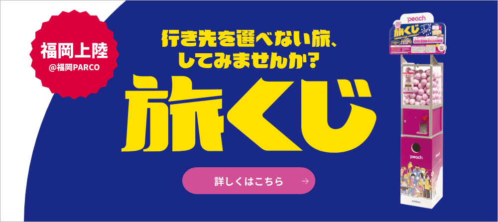 非売品 94年サッカーW杯アメリカ大会 出場国サッカー協会ピンバッジ